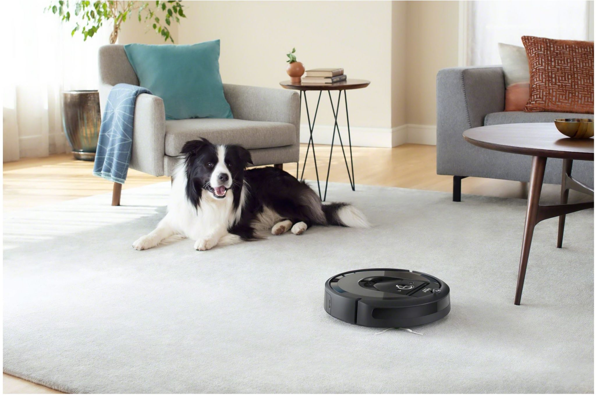Najpopularniejsze roboty sprzątające - TOP 10 - iRobot Roomba i7 - pies