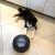 iRobot Roomba Combo j7 i pies